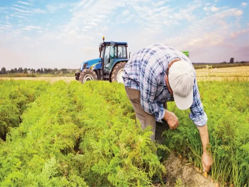 agrotec